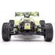 Hobbytech SPIRIT NXT EVO-V2 BRUSHLESS RTR