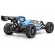 Hobbytech SPIRIT NXT EVO-V2 BRUSHLESS RTR