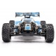 Hobbytech SPIRIT NXT EVO-V2 BRUSHLESS RTR