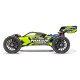 Hobbytech ROGUE Buggy 1/8ème Brushless + PACK accus et chargeur